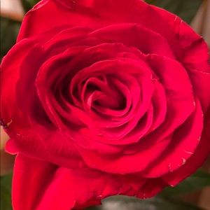 Meet your Posher, Tina